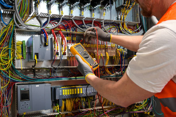 Best Affordable Electrician  in Madison Lake, MN